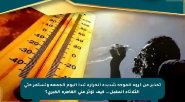تحذير من ذروة الموجة شديدة الحرارة تبدأ اليوم الجمعة وتستمر حتى الثلاثاء المقبل… كيف تؤثر على القاهرة الكبرى؟